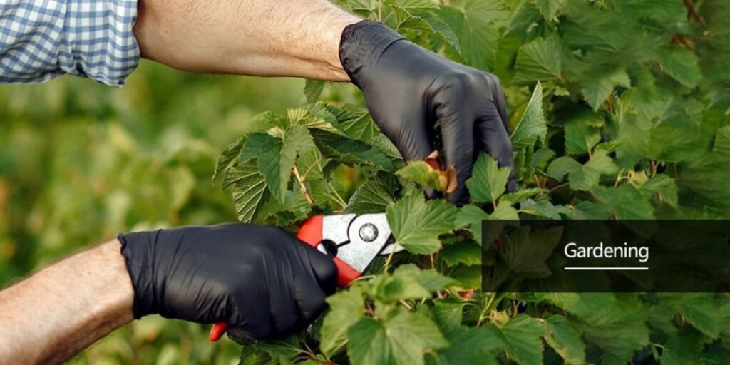 Gardening with blue nitrile gloves for protection.